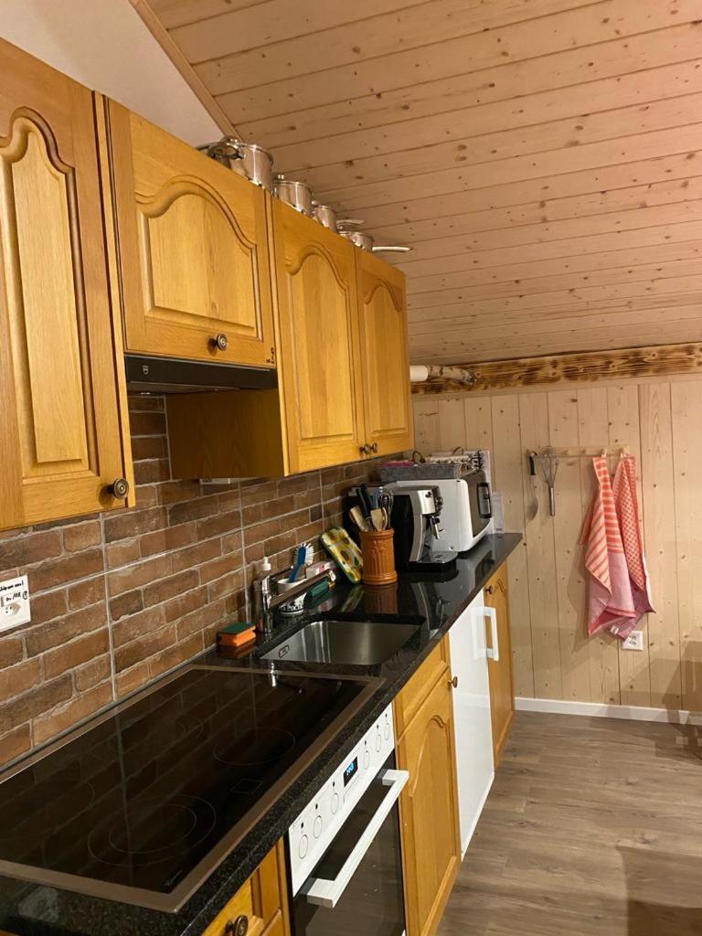 Chalet Baergstaeger Lauterbrunnen Kültér fotó